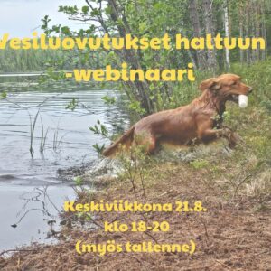 Vesiluovutukset haltuun -webinaari 28.8.