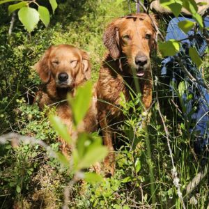 Pääsiäiskoulutus 2026